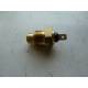 Temperature indicator probe