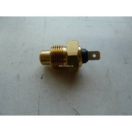 Temperature indicator probe