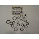 Repair kit HP pump - SM